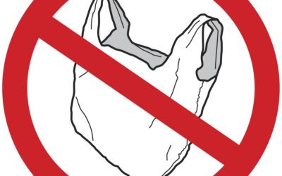 Auburn plastic bag restrictions go into effect October 1